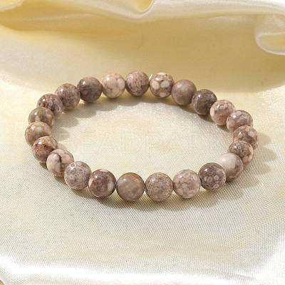 Natural Maifanite/Maifan Stone Bead Stretch Bracelets BJEW-K212-B-044-1