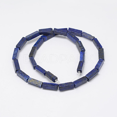 Dyed & Natural Lapis Lazuli Beads Strands G-F402-11-1