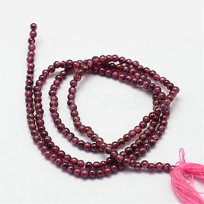 Natural Garnet Beads Strands G-N0213-04-2mm-1