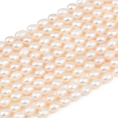 Natural Cultured Freshwater Pearl Beads Strands PEAR-F020-26A-1