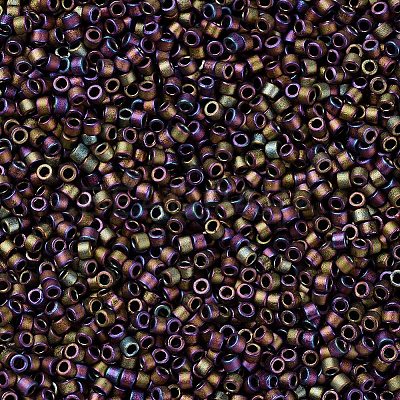 MIYUKI Delica Beads X-SEED-J020-DB1055-1