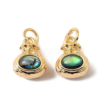 Natural Paua Shell Lucky Bag Charms KK-G538-19G-1