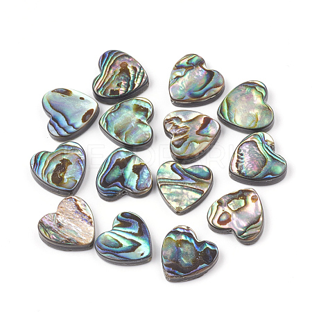Abalone Shell/Paua Shell Beads X-SHEL-T005-01-1