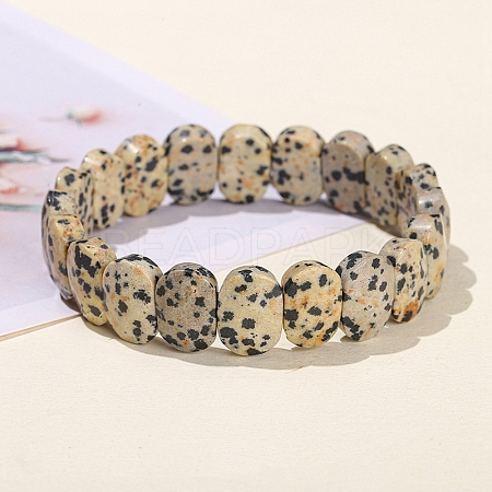 Natural Dalmatian Jasper Oval Bead Stretch Bracelets for Men Women PW-WG50701-08-1