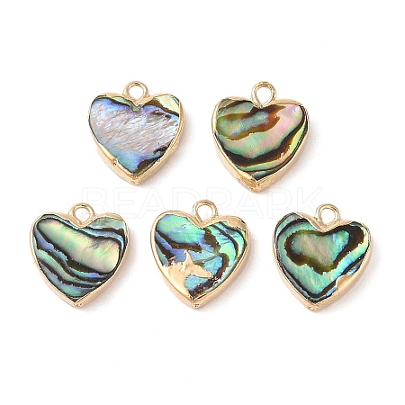 Natural Paua Shell Heart Charms with Brass Edge SHEL-P017-19G-1