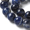 Natural South Africa Sodalite Beads Strands G-S259-35-10mm-5