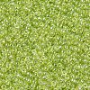 MIYUKI Round Rocailles Beads SEED-X0054-RR0172-3