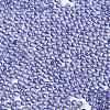 Glass Seed Beads SEED-H002-C-A047-2