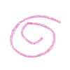 Natural Freshwater Shell Dyed Beads Strands SHEL-M018-12-10-2