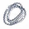 Electroplate Glass Beads Strands EGLA-L042-PL04-2
