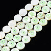 Natural Freshwater Shell Enamel Beads SHEL-N026-194-03B-1