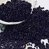 Baking Paint Glass Seed Beads X-SEED-S042-05B-79-1