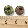 Natural Unakite Beads G-Q173-03A-21-3