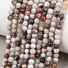 Natural Mexican Agate Beads Strands G-G345-B01-3mm-1