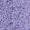 TOHO Round Seed Beads X-SEED-TR15-0477D-2