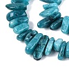 Dyed Natural Quartz Beads Strands G-Q606-24A-03-3