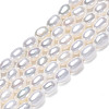 Natural Cultured Freshwater Pearl Beads Strands PEAR-N012-03G-2
