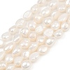 Natural Cultured Freshwater Pearl Beads Strands PEAR-P064-20K-06A-2
