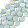 Natural Flower Amazonite Beads Strands G-C116-A183-02-2