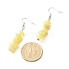 Natural & Synthetic Mixed Stone Chip Beads Dangle Earrings EJEW-JE04649-5