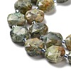 Natural Gemstone Beads Strands G-NH0004-011-4