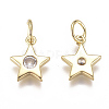Brass Micro Pave Cubic Zirconia Charms X2-ZIRC-F111-09G-08-2
