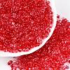 Spray Painted Glass Seed Beads SEED-T007-08E-3