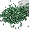 TOHO 8/0 Round Beads X-SEED-TR08-0130D-1
