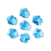 Transparent Glass Beads GLAA-Q066-14mm-C09-1