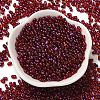 Spray Painted Glass Seed Beads SEED-F005-06A-04-2