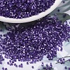 MIYUKI Delica Beads X-SEED-J020-DB1810-1
