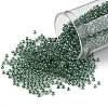 TOHO Round Seed Beads SEED-XTR11-1070-1