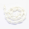 Shell Pearl Beads Strands BSHE-P024-06-2