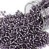 TOHO 11/0 Round Beads SEED-JPTR11-0039F-1