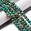 Dyed Natural Regalite/Imperial Jasper/Sea Sediment Jasper Beads Strands G-B124-C02-13-2