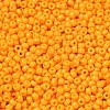 MIYUKI Round Rocailles Beads SEED-G008-RR4453-2