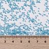 MIYUKI Round Rocailles Beads SEED-G009-RR0573-4