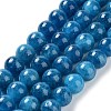 Dyed Natural Malaysia Jade Beads Strands G-G021-02C-10-1