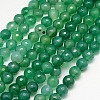 Natural Agate Beads Strands G-G580-10mm-13-1