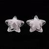 Transparent Acrylic Beads TACR-S152-11A-06-2