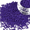 11/0 FGB Grade A Baking Paint Glass Seed Beads X-SEED-N001-A-1010-1