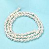 Natural Cultured Freshwater Pearl Beads Strands PEAR-E016-126-3