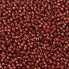 TOHO 11/0 Round Beads SEED-XTR11-PF2113-2