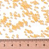 TOHO Round Seed Beads SEED-JPTR11-0801F-4