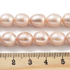 Natural Cultured Freshwater Pearl Beads Strands PEAR-P062-13D-5