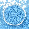 Baking Paint Glass Seed Beads SEED-L011-09A-06-2