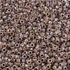 MIYUKI Delica Beads X-SEED-J020-DB1749-3