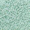 TOHO 11/0 Round Beads X-SEED-TR11-PF2118-2