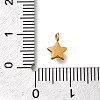 304 Stainless Steel Charms STAS-R159-58G-02-3