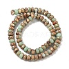 Natural Aqua Terra Jasper Beads Strands G-S366-013C-4